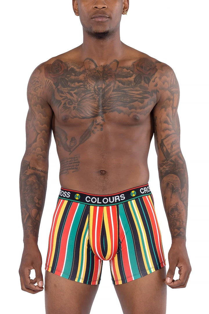 New Arrivals Cross Colours Retro Barcode Boxer Brief